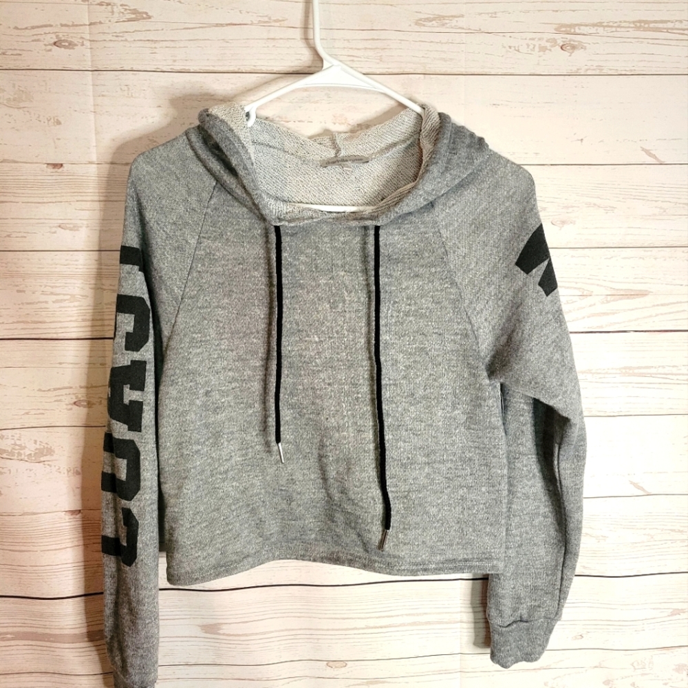 Charlotte russe crop hoodie grey extra small Loose